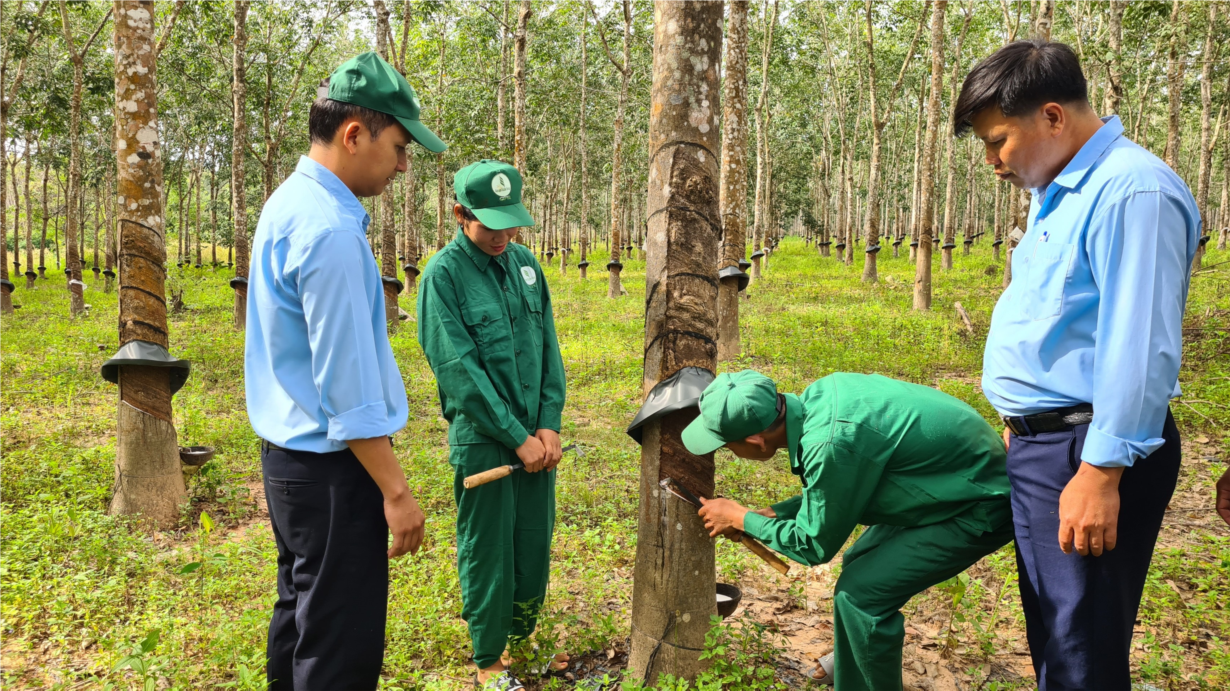 Gia Lai: Xuân về trên vùng biên giới Ia Mơr (29/12/2022)